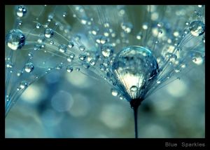 Blue Sparkles.jpg